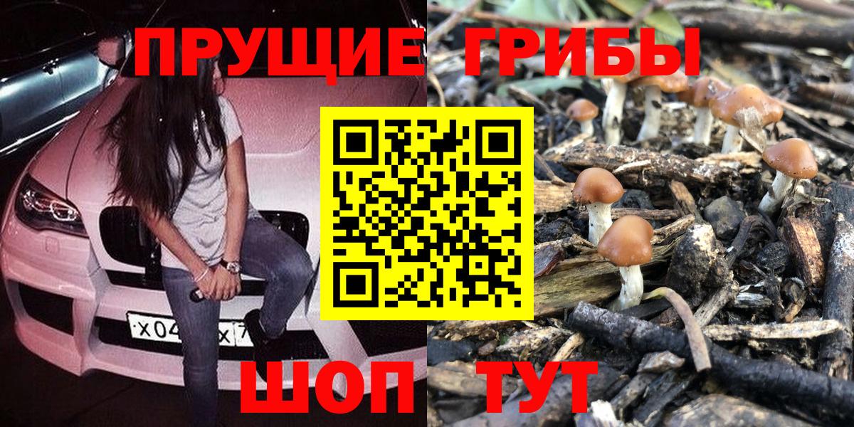 Кимовск  Псилоцибиновые грибы Psilocybine cubensis  Вход с VPN 