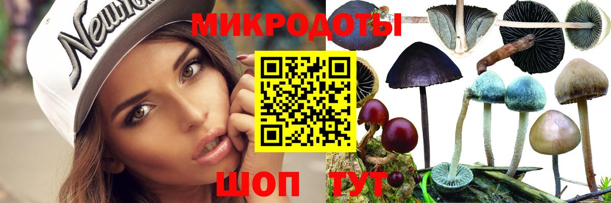 Галлюциногенные грибы прущие грибы Кимовск